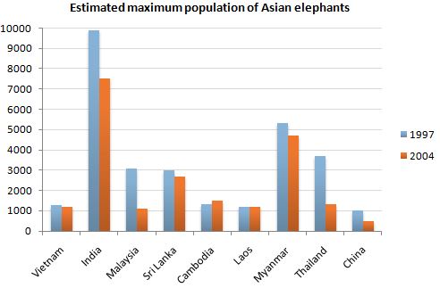 Asian elephants